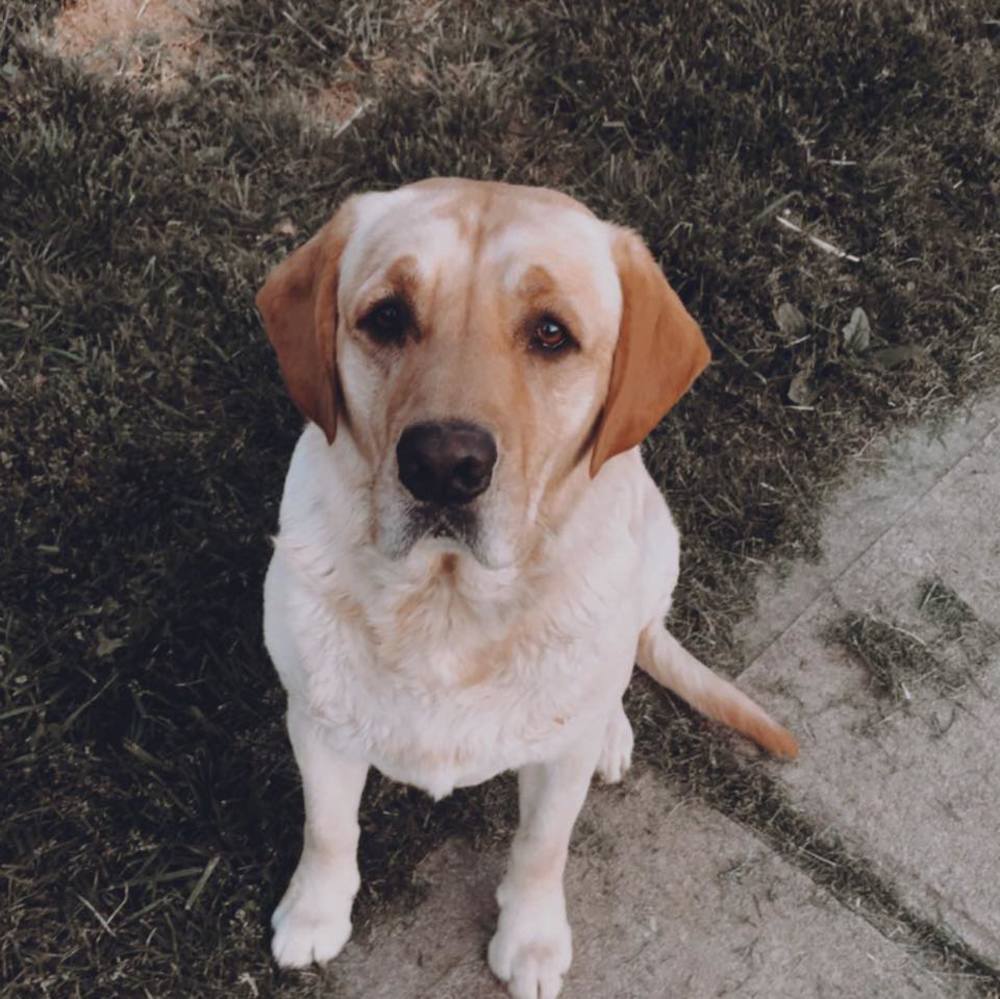 Meet your Posher, Madison